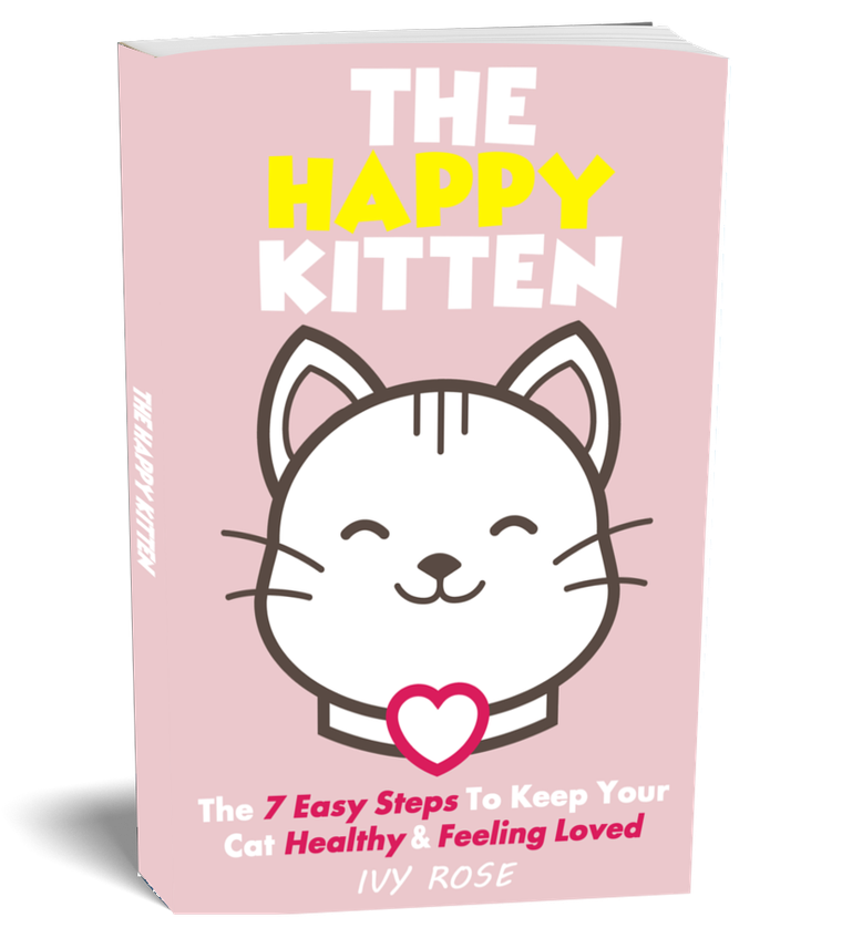 The Happy Kitten book