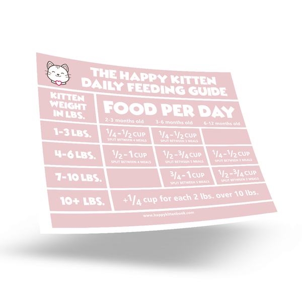 Happy Kitten Toolkit printable